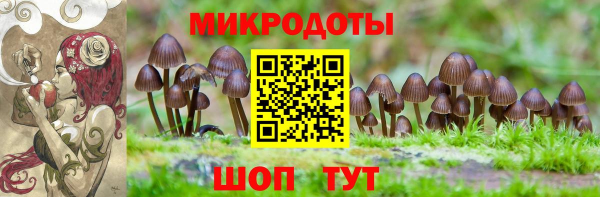 Псилоцибиновые грибы Cubensis Щёлково