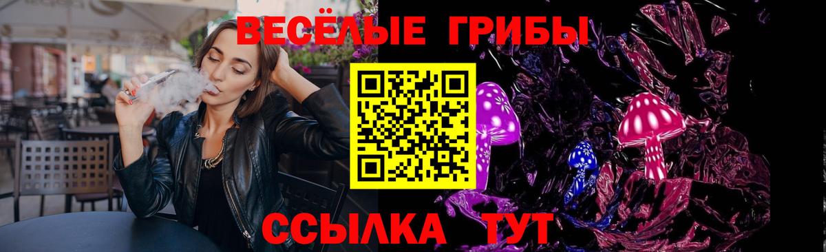 дарнет шоп  Вход с VPN  Щёлково  Псилоцибиновые грибы MAGIC MUSHROOMS 