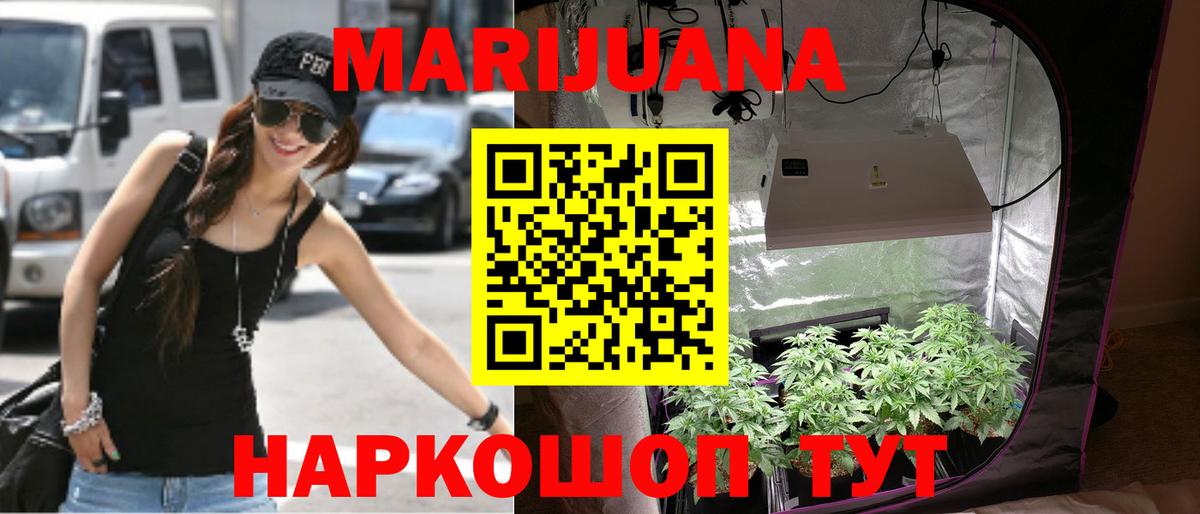 Бошки марихуана VHQ  Шишки марихуана план  Щёлково  Вход с VPN 
